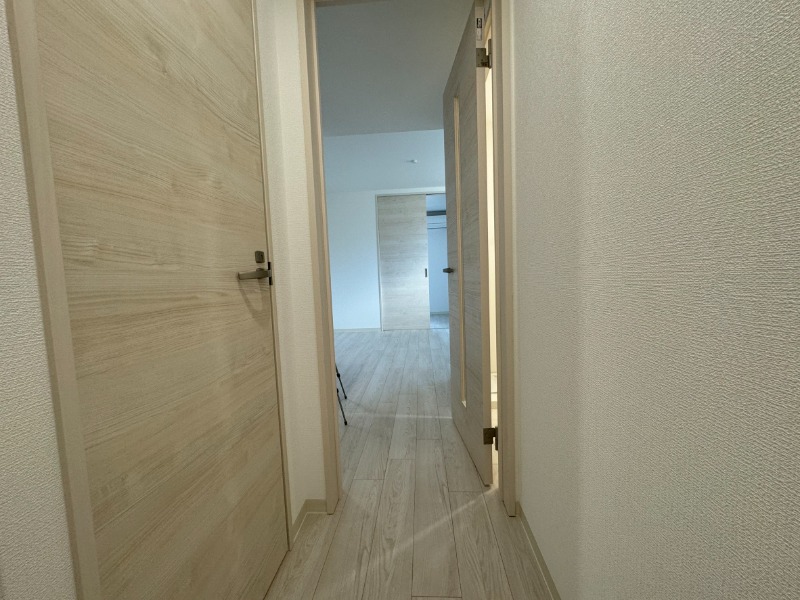 D porta cacto その他