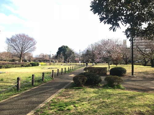 南街6丁目貸家 周辺画像8