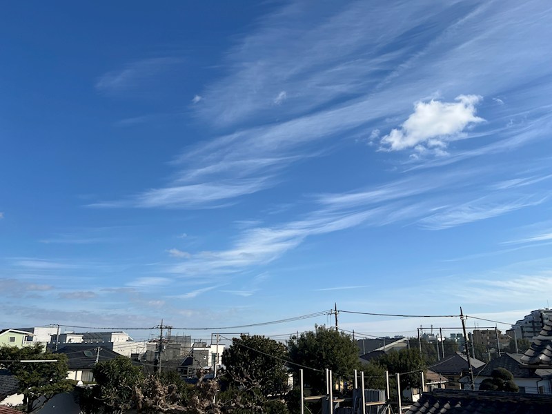 鷺宮4129貸家 眺望