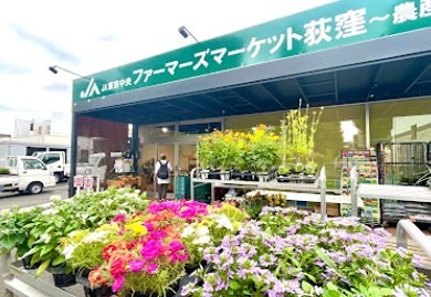 天沼1114貸家 スーパー
