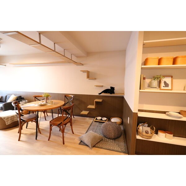 LEGALAND+猫 MIYAKOJIMA その他部屋・スペース