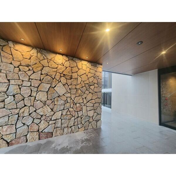 Louis Residence 天王寺町北 エントランス