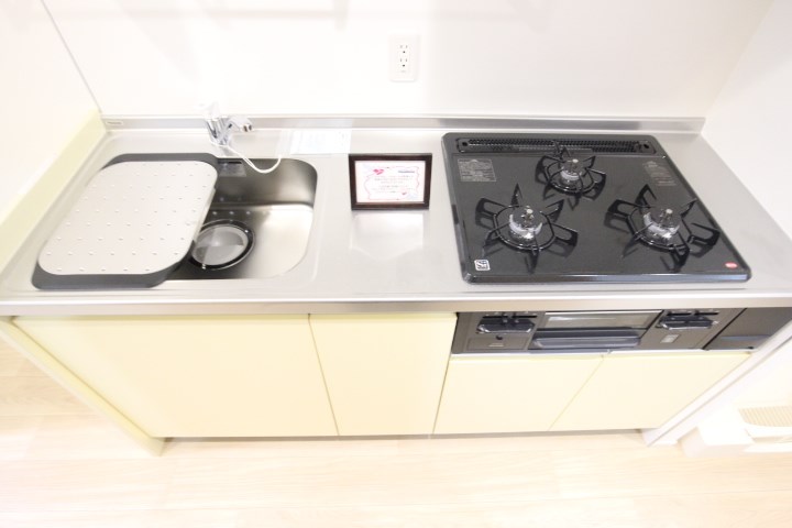 tavolozza Kamisawa その他12