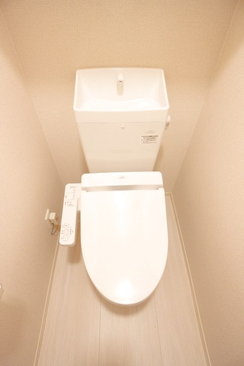 ブル・マリーノ衣掛 その他1