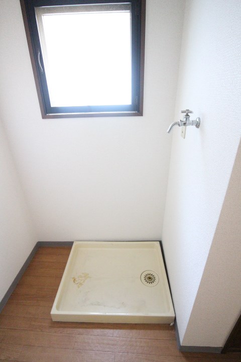 ゴールドツリー その他6