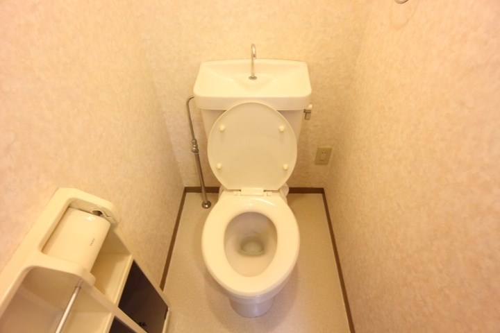 ブリュンヒルト その他1