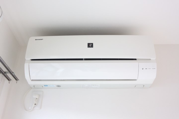 Luna Piena その他5