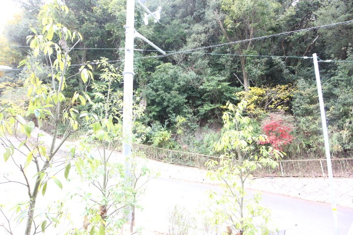 エヌエムサンカンテキャトフＢ棟 その他3