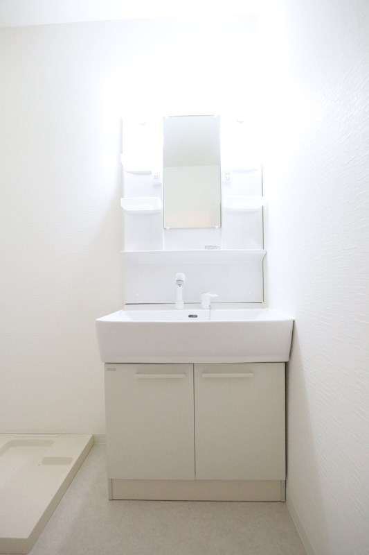 ビタフェリスふじ その他2