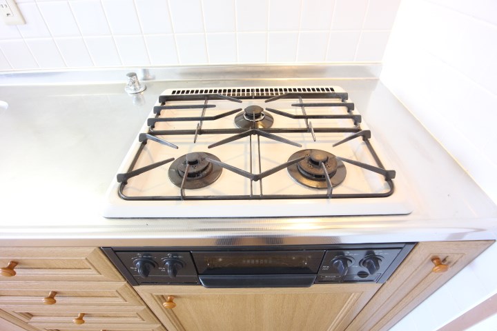 グルックブルグ その他19