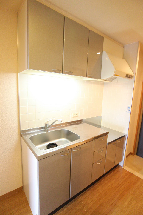 グリーンエイジ平和台 その他15