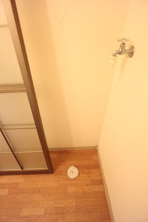 フレグランス妙法寺 B その他6