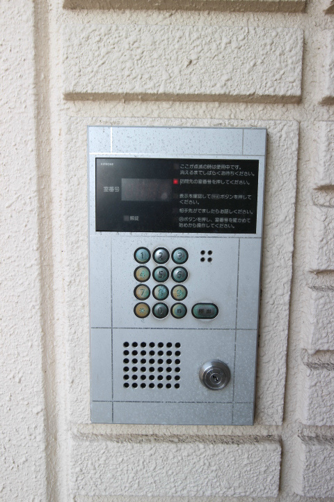 パールエッグクノキ その他6