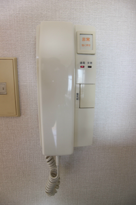 パールエッグクノキ その他8