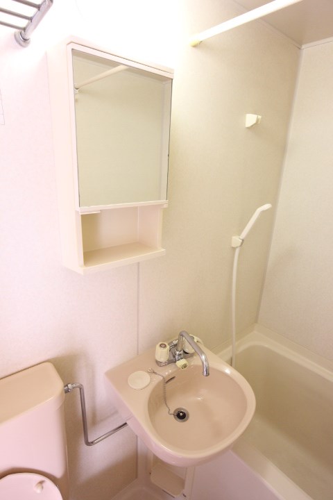 シャルマントミタ その他2