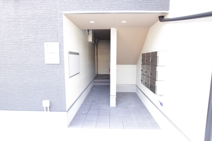 アリッサム その他20