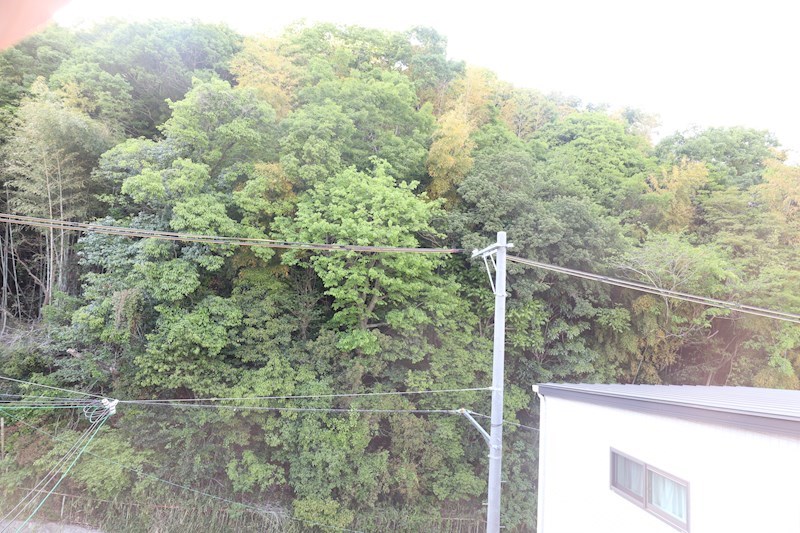 エヌエムサンカンテキャトフD棟 その他3