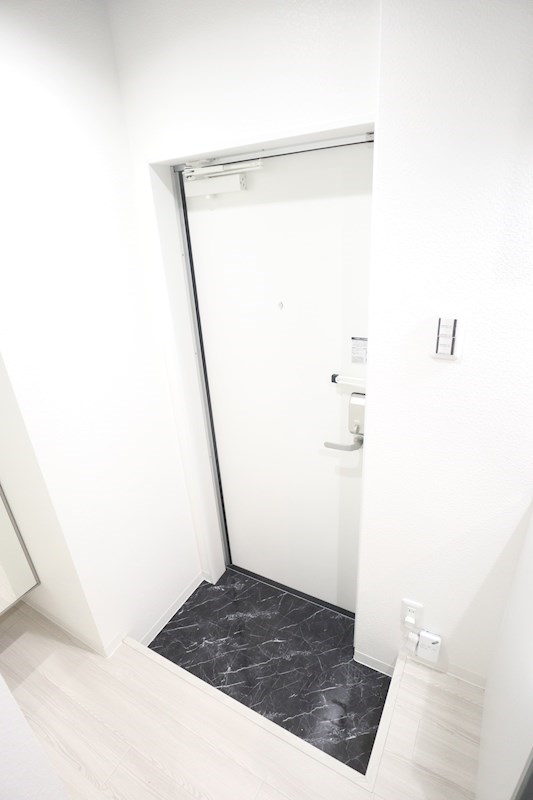 エヌエムサンカンテキャトフD棟 玄関