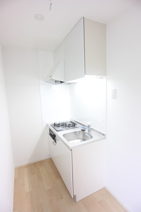 EXSONIA FIVE キッチン