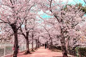 ウィーズ板宿 周辺画像6