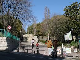 ルシェール房王寺 周辺画像10