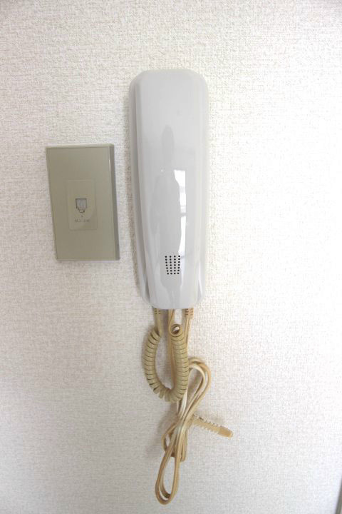 デュランタ その他6