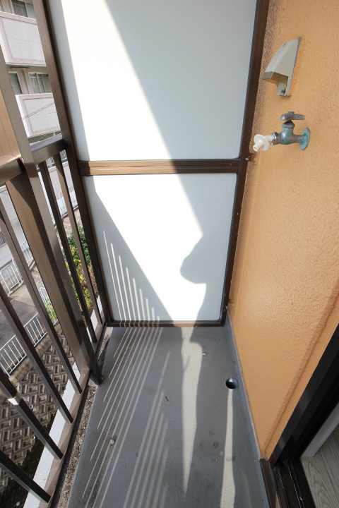 デュランタ その他7