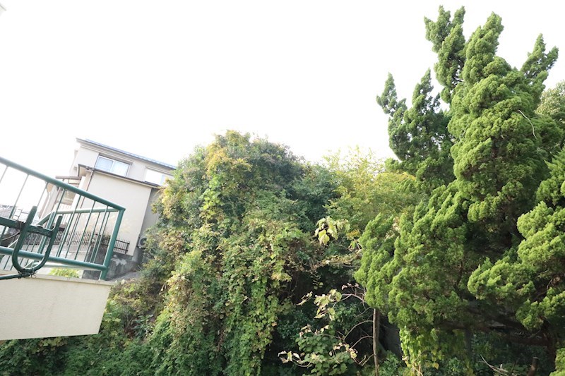 ラムール鈴蘭台 その他17