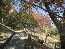 スミカ片山町 周辺画像9