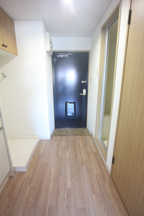 マイルドコート27 その他10