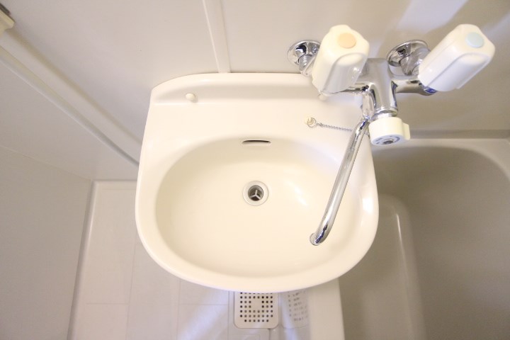 ロイヤルサクラ その他16