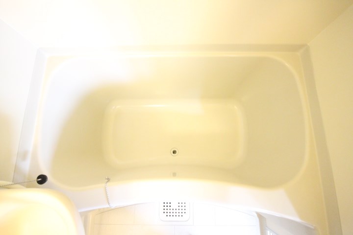 ロイヤルサクラ その他17