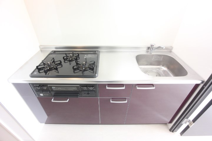 ブランピュール その他18