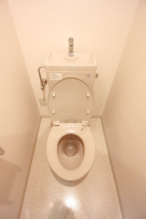 ロイヤル三ツ星Ⅱ その他1