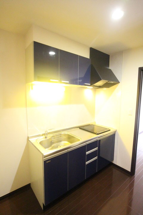 ヴィアノ大谷町 キッチン