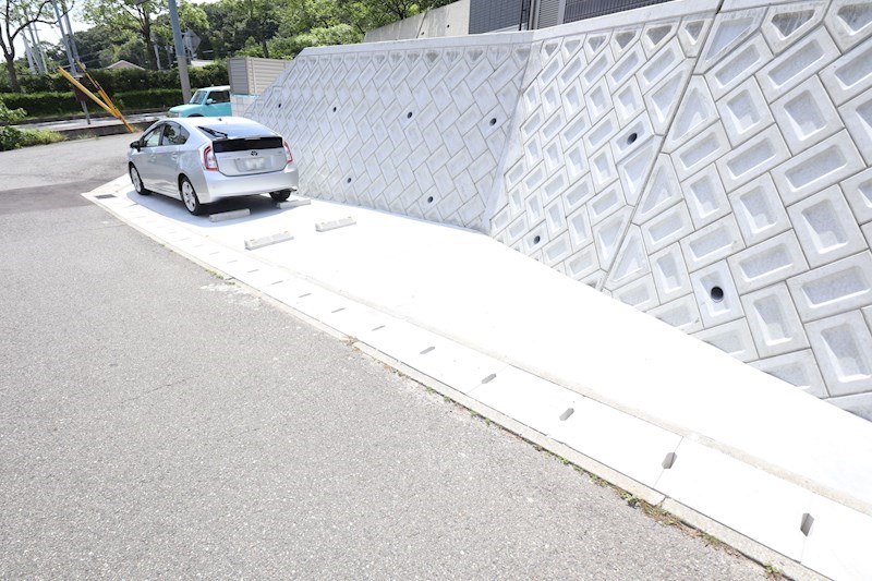 シャルマンヴィオラ その他4