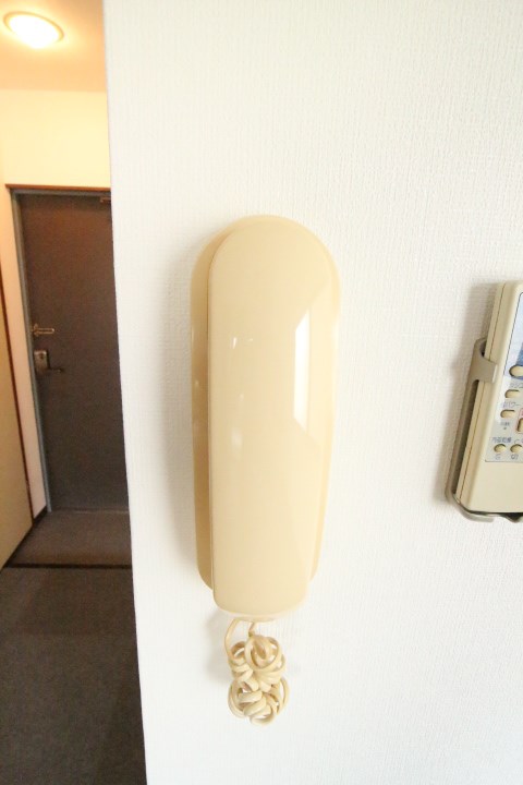 パインハイツ その他10