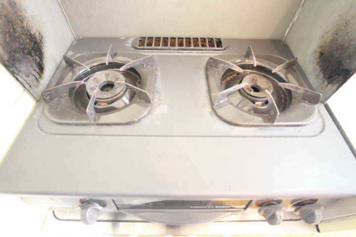 テラスローズマリー その他13