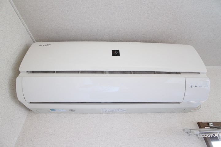 パレドルミエール その他6