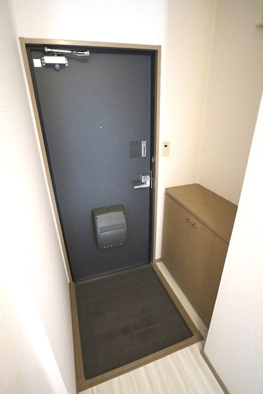 ピボットハイムB 玄関