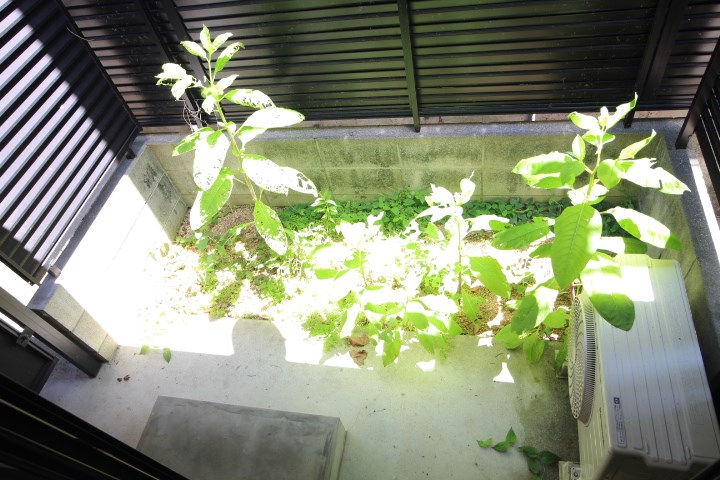 ワコーレ須磨衣掛 ベランダ