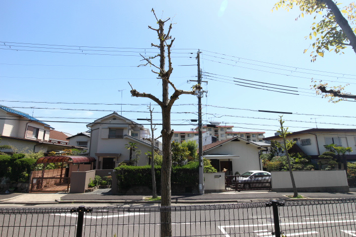 ルナガーデン その他5