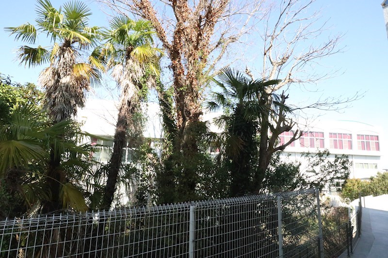 リアン西山町 その他37