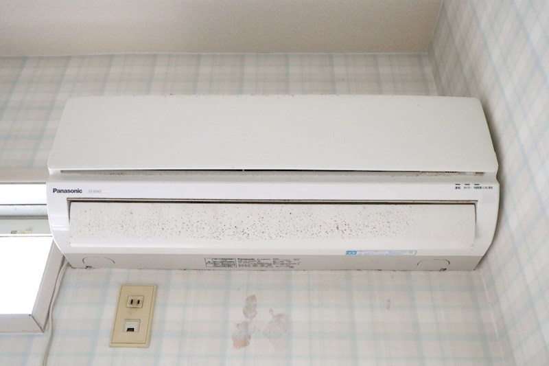 ももの木 その他4