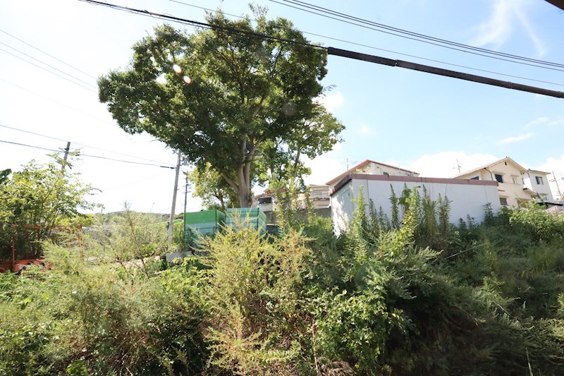 大日丘町1丁目戸建 その他3