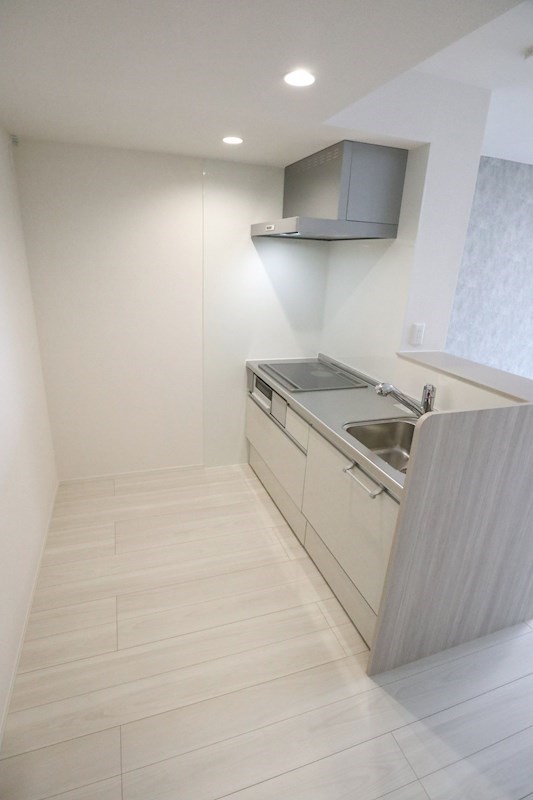 PLUS CUBE SUMA その他7