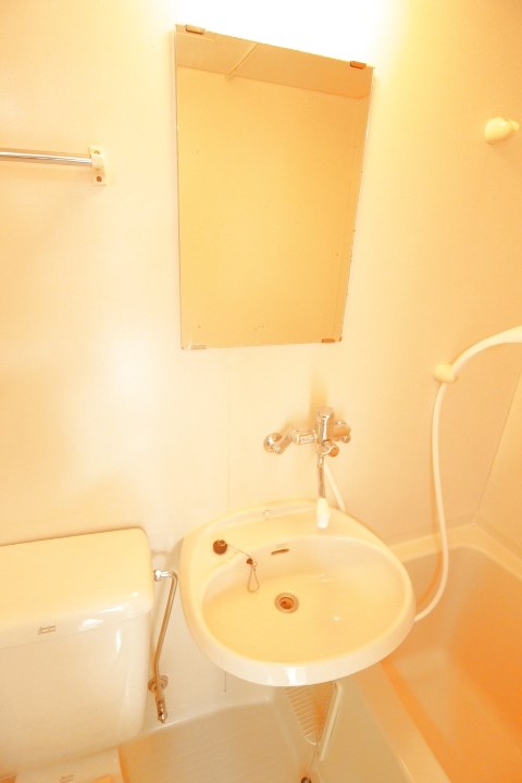 デュランタ その他2