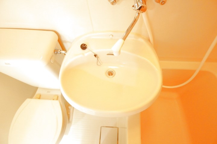 デュランタ その他11