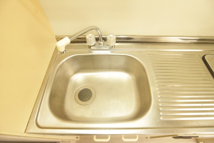 デュランタ その他13