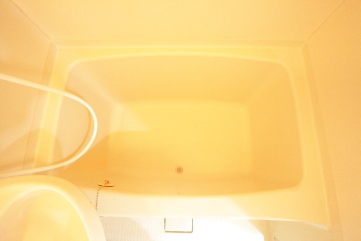 デュランタ その他17